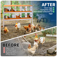 PPG_33LQGUGQ
