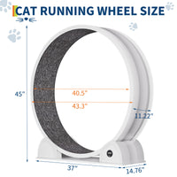 GARVEE XL Katzenlaufrad Ø103 cm für große Katzen bis 12 kg, Leises Katzenrad mit Schrittzähler & Kratzbrett, Abnehmbarer Teppich, Weiß