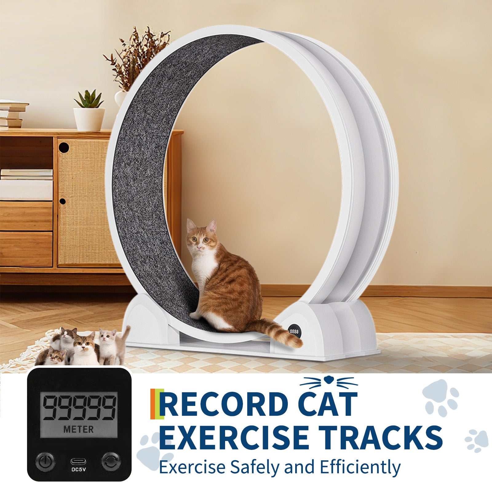 GARVEE XL Katzenlaufrad Ø103 cm für große Katzen bis 12 kg, Leises Katzenrad mit Schrittzähler & Kratzbrett, Abnehmbarer Teppich, Weiß