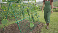 Garvee Rankhilfe für Gurken 120 × 120 cm, Metall-Gurkenspalier mit Pflanznetz, stabiles Rankgitter für Hochbeet, Garten, Gemüse, Rankpflanzen & Blumen