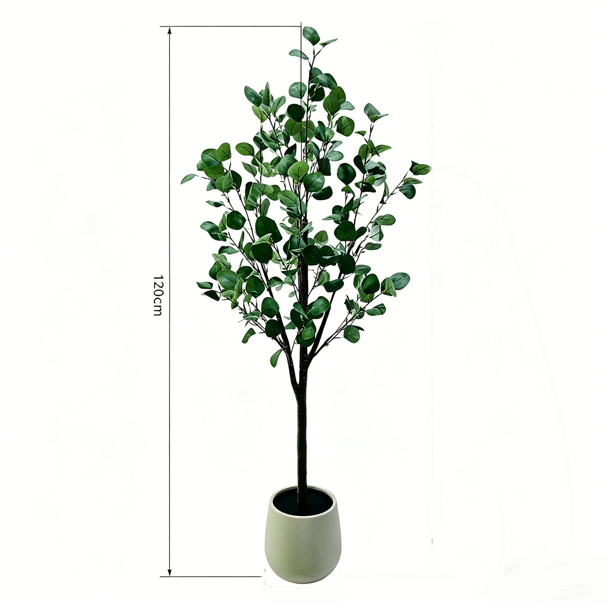 PHK_3957AURH