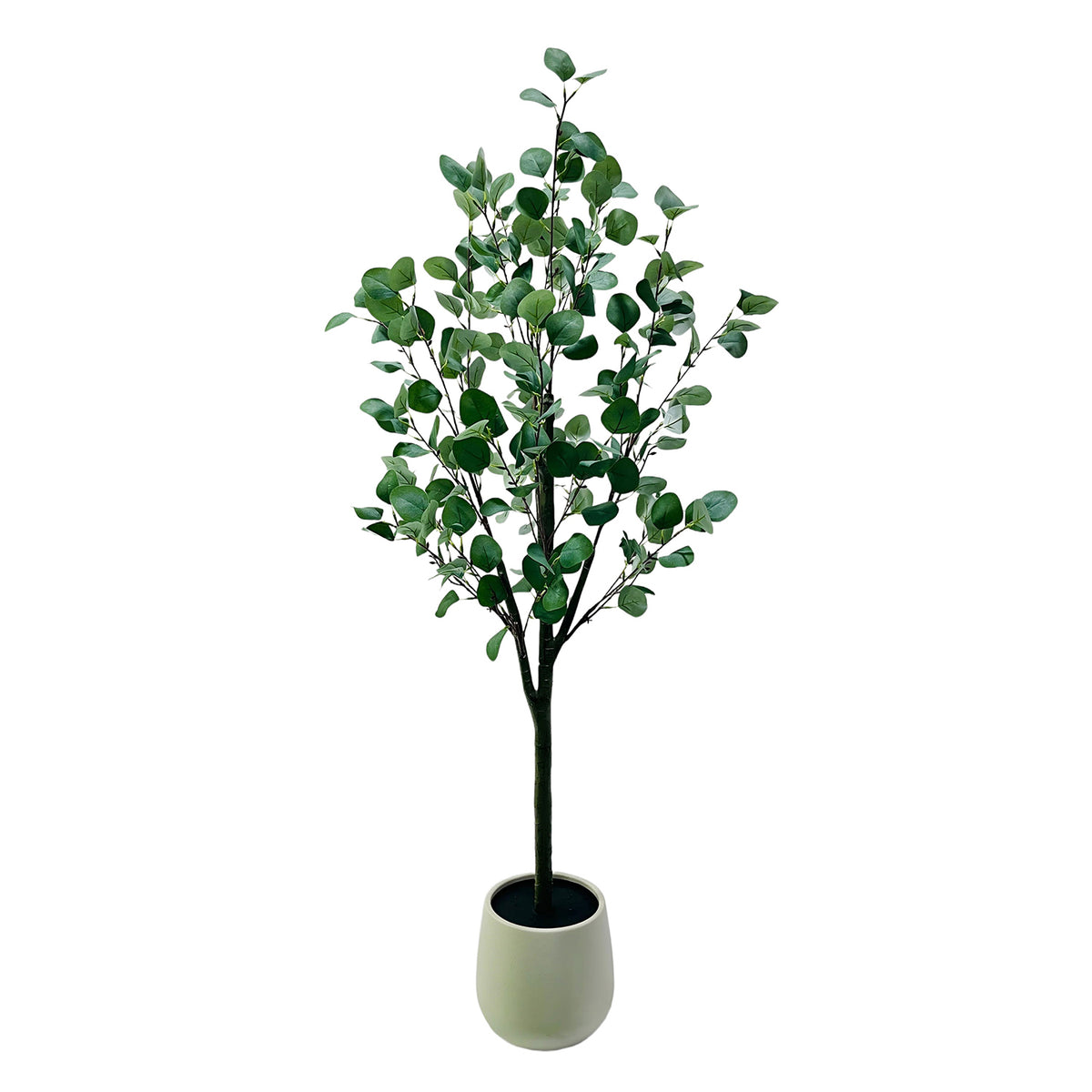 PHK_3957AURH