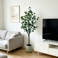 PHK_3957AURH